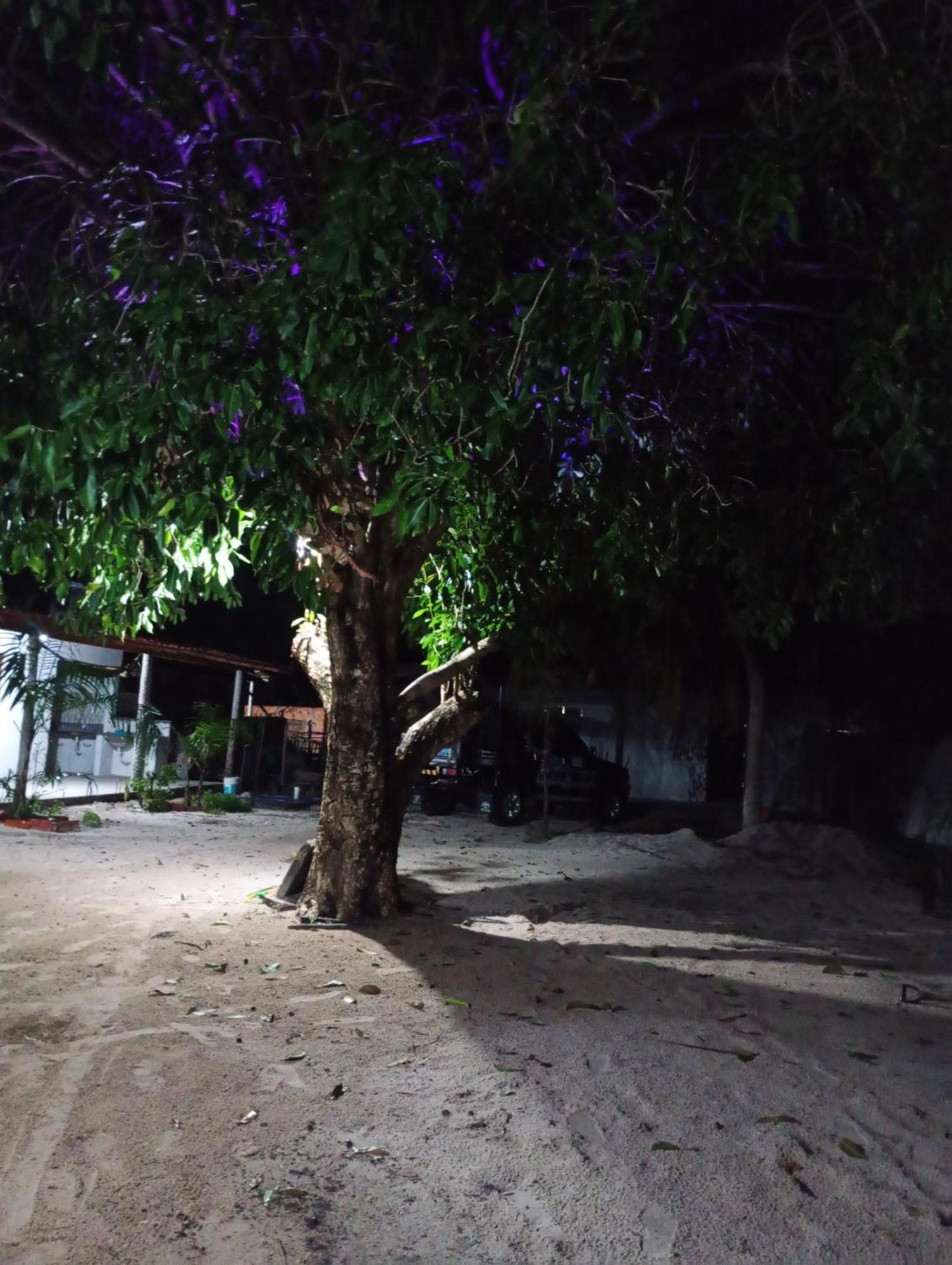 Hostel E Camping Na Rua Das Flores Santo Amaro do Maranhao Bagian luar foto