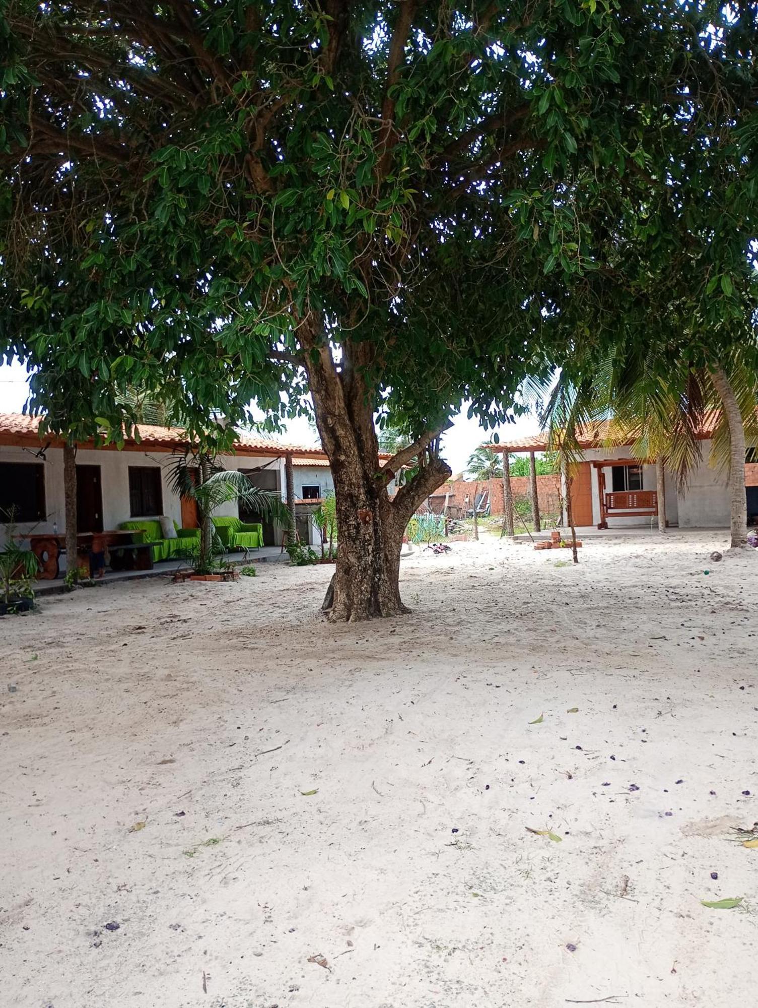Hostel E Camping Na Rua Das Flores Santo Amaro do Maranhao Bagian luar foto
