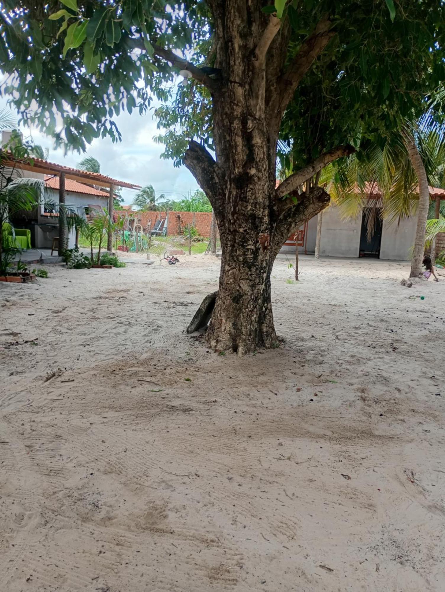 Hostel E Camping Na Rua Das Flores Santo Amaro do Maranhao Bagian luar foto